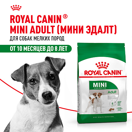 Cухой корм Royal Canin Mini Adult (МИНИ ЭДАЛТ) 2 кг